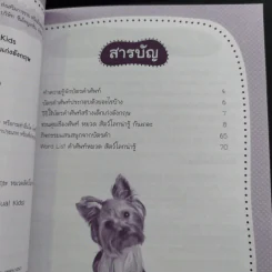 SE-ED Smart Flash Cards for Bilingual Kids บัตรคำศัพท์ 2 ภาษาพาหนูน้อยเก่งอังกฤษ รูปที่ 13
