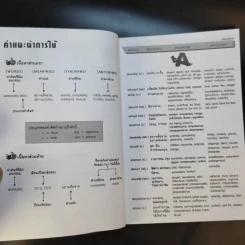 O-Net, Gat Vocabulary Synonms & Antonyms รูปที่ 11