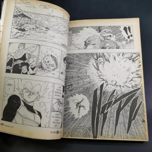 Dragonball Big Book เล่ม 23 รูปที่ 12