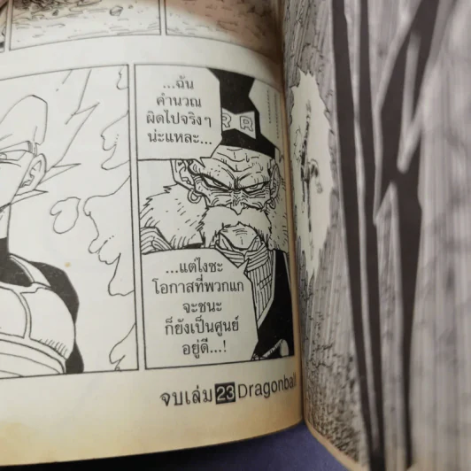 Dragonball Big Book เล่ม 23 รูปที่ 13