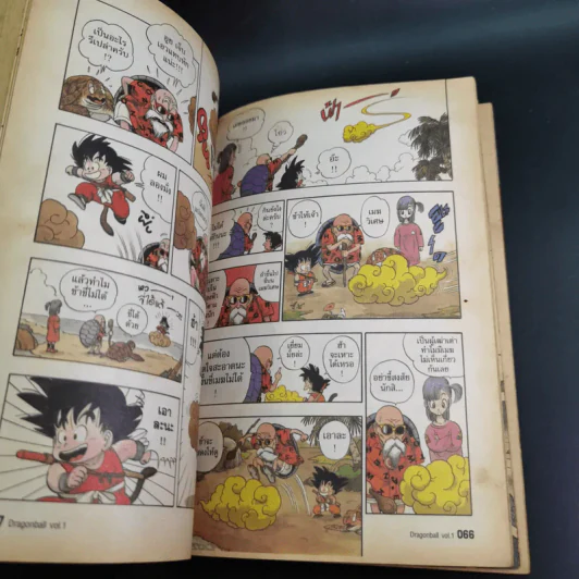 Dragonball Big Book เล่ม 1 รูปที่ 10