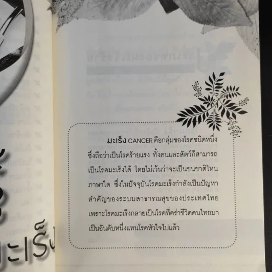 สมุนไพรต้านมะเร็ง - วรกมล ไพรศาลสุธิธรรม รูปที่ 13