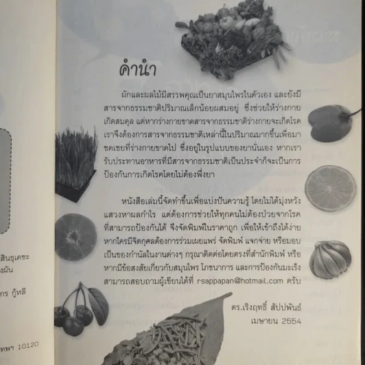 กินเป็นไม่เป็นมะเร็ง - ดร.เริงฤทธิ์ สัปปพันธ์ รูปที่ 10