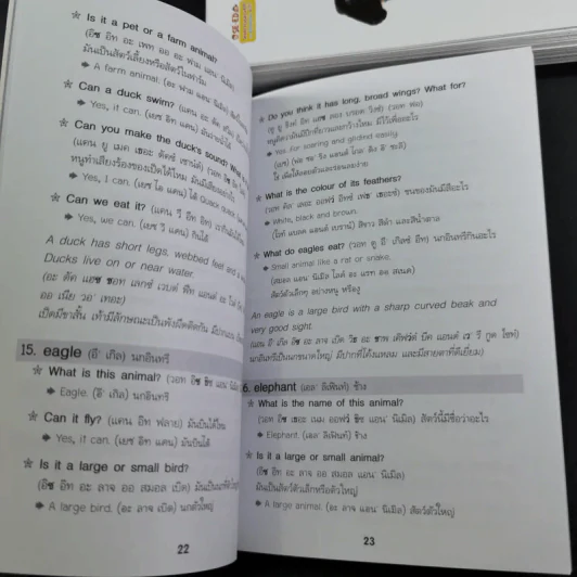 SE-ED Smart Flash Cards for Bilingual Kids บัตรคำศัพท์ 2 ภาษาพาหนูน้อยเก่งอังกฤษ รูปที่ 14