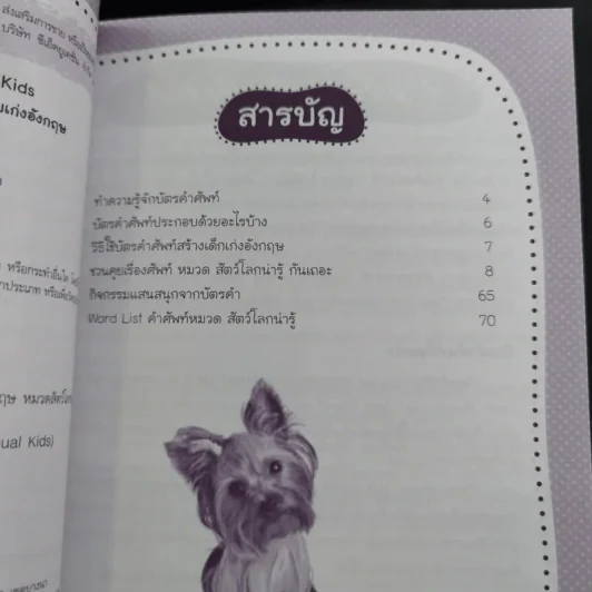 SE-ED Smart Flash Cards for Bilingual Kids บัตรคำศัพท์ 2 ภาษาพาหนูน้อยเก่งอังกฤษ รูปที่ 13