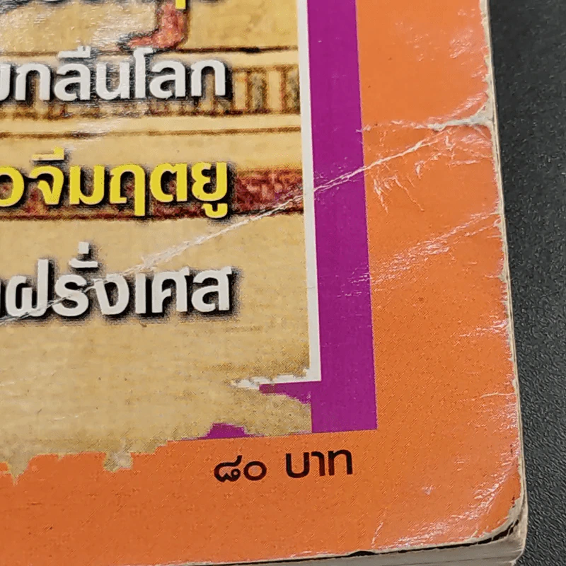 ต่วย'ตูนพิเศษ ปีที่ 35 ฉบับที่ 411 พ.ค.2552 รูปที่ 9
