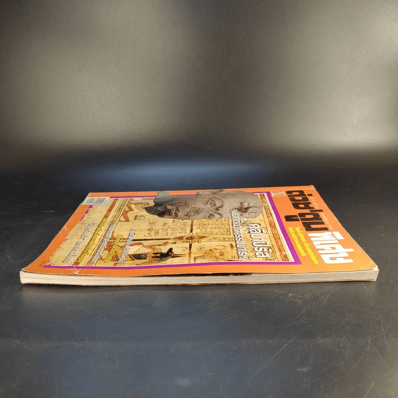 ต่วย'ตูนพิเศษ ปีที่ 35 ฉบับที่ 411 พ.ค.2552 รูปที่ 6