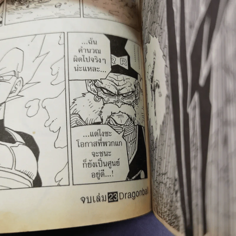 Dragonball Big Book เล่ม 23 รูปที่ 13