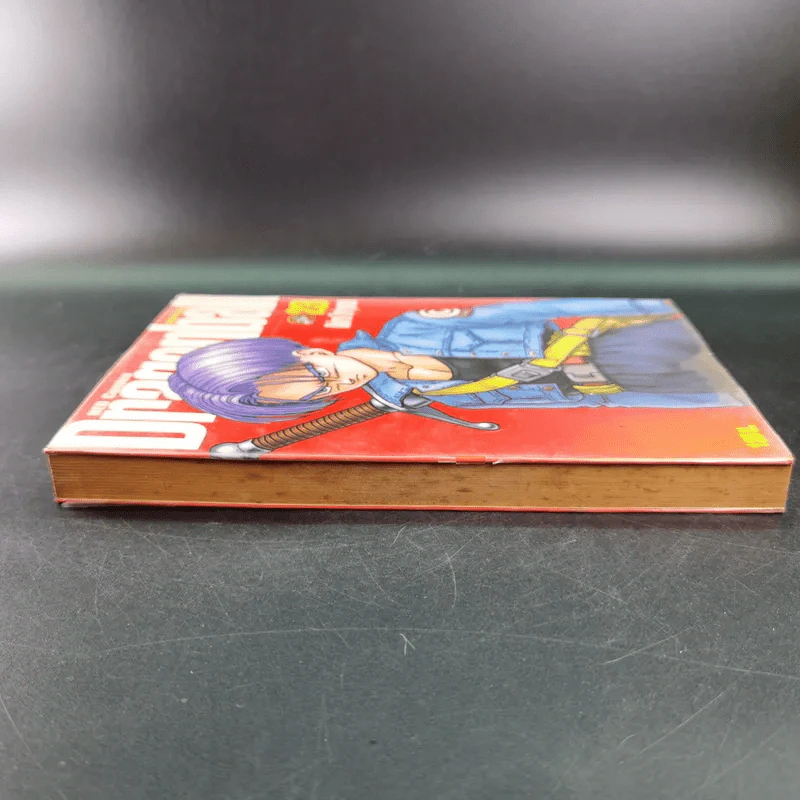 Dragonball Big Book เล่ม 23 รูปที่ 6