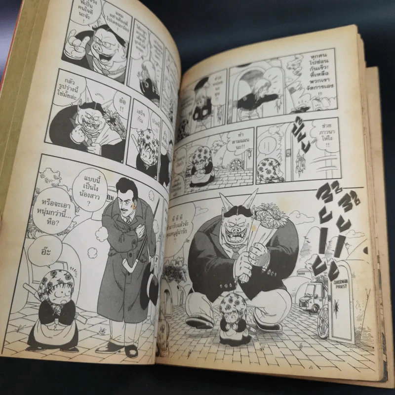 Dragonball Big Book เล่ม 1 รูปที่ 11