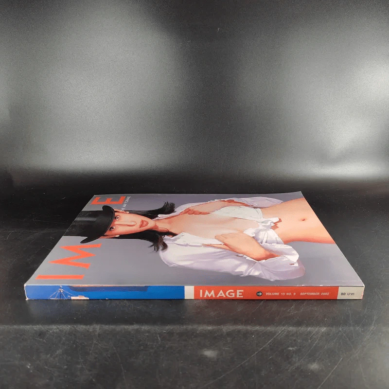 Image ปีที่ 15 ฉบับที่ 9 ก.ย.2545 รูปที่ 3