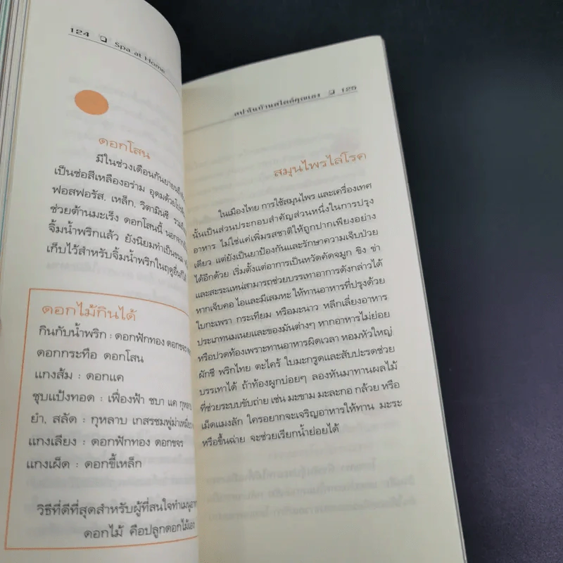 Spa at Home สปาในบ้าน สไตล์คุณเอง - Freeya M. รูปที่ 15