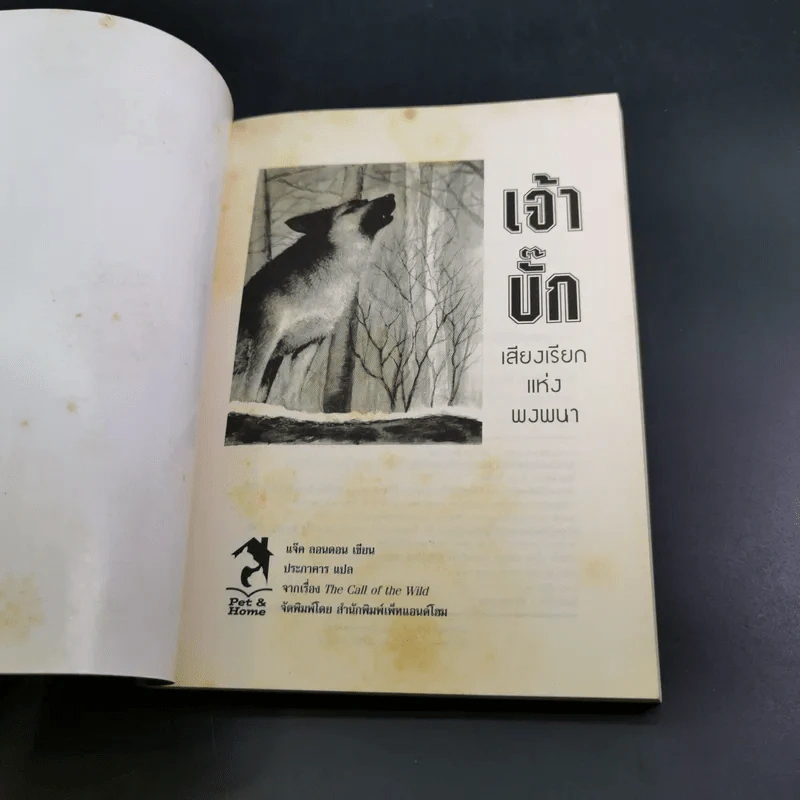 เจ้าบั๊ก เสียงเรียกแห่งพงพนา รูปที่ 8