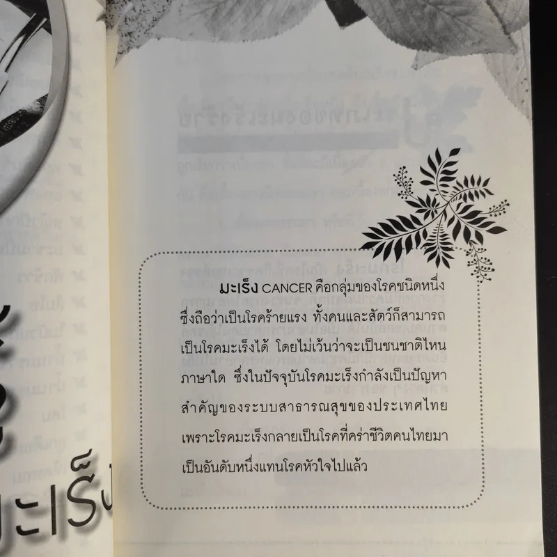 สมุนไพรต้านมะเร็ง - วรกมล ไพรศาลสุธิธรรม รูปที่ 13