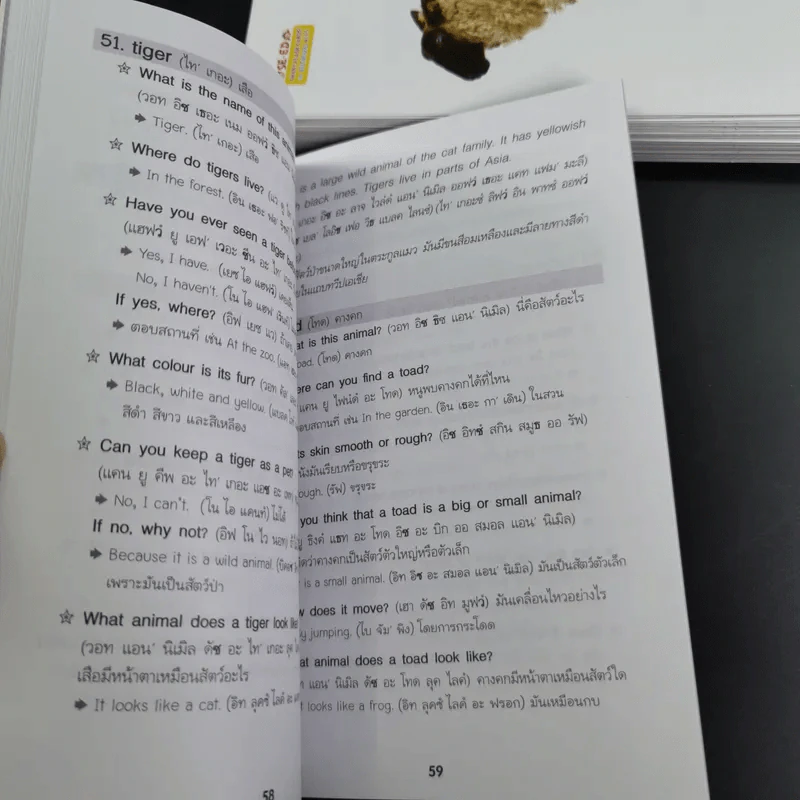 SE-ED Smart Flash Cards for Bilingual Kids บัตรคำศัพท์ 2 ภาษาพาหนูน้อยเก่งอังกฤษ รูปที่ 15
