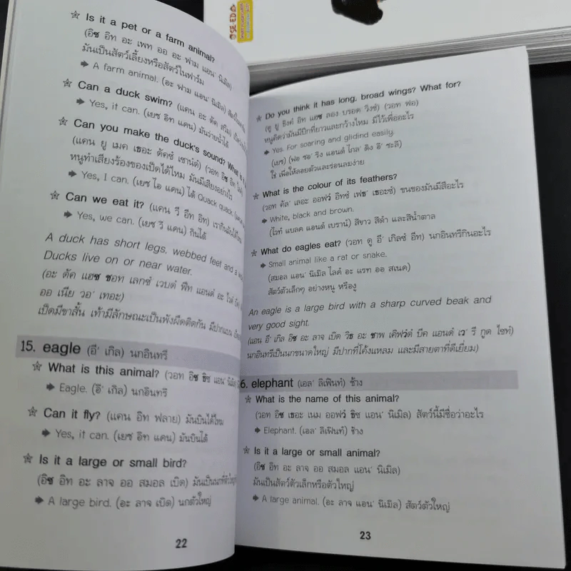 SE-ED Smart Flash Cards for Bilingual Kids บัตรคำศัพท์ 2 ภาษาพาหนูน้อยเก่งอังกฤษ รูปที่ 14
