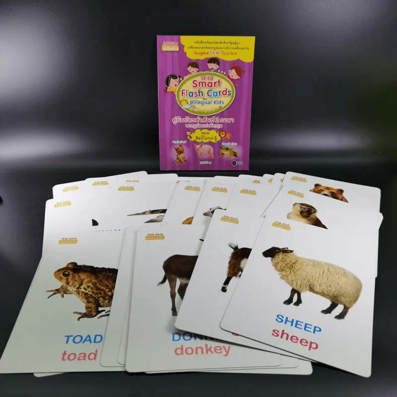 SE-ED Smart Flash Cards for Bilingual Kids บัตรคำศัพท์ 2 ภาษาพาหนูน้อยเก่งอังกฤษ รูปที่ 7