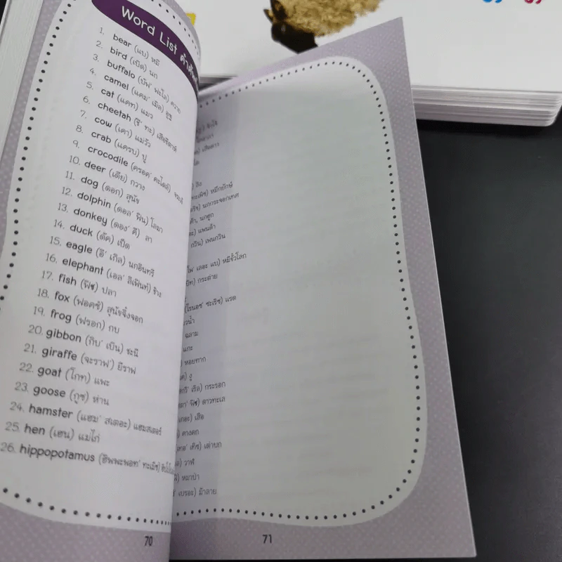 SE-ED Smart Flash Cards for Bilingual Kids บัตรคำศัพท์ 2 ภาษาพาหนูน้อยเก่งอังกฤษ รูปที่ 16