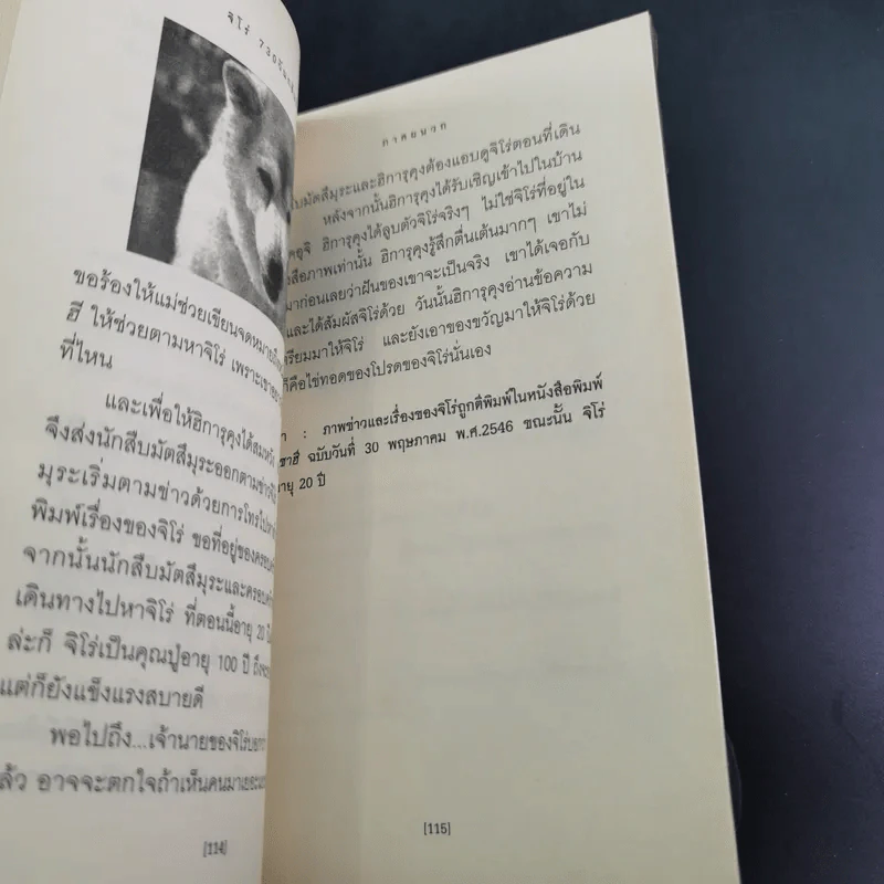 จิโร่ 730 วันกลับคืนถิ่น - ฮายาโนะ มาซารุ รูปที่ 16