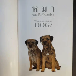 หมาของฉันเป็นอะไร What's up with my Dog? รูปที่ 10