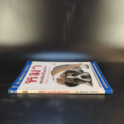 หมาของฉันเป็นอะไร What's up with my Dog? รูปที่ 3