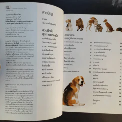 หมาของฉันเป็นอะไร What's up with my Dog? รูปที่ 9
