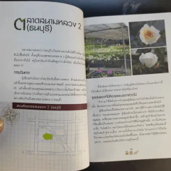 คู่มือเลือกซื้อและขาย ต้นไม้สำหรับมืออาชีพ - นก วรรณพร รูปที่ 18