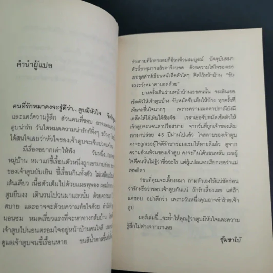 มอร์ สุนัขนำทางจอมแก่น - อิมะอิสึมิ โคสุเกะ รูปที่ 11