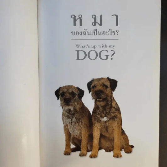 หมาของฉันเป็นอะไร What's up with my Dog? รูปที่ 10
