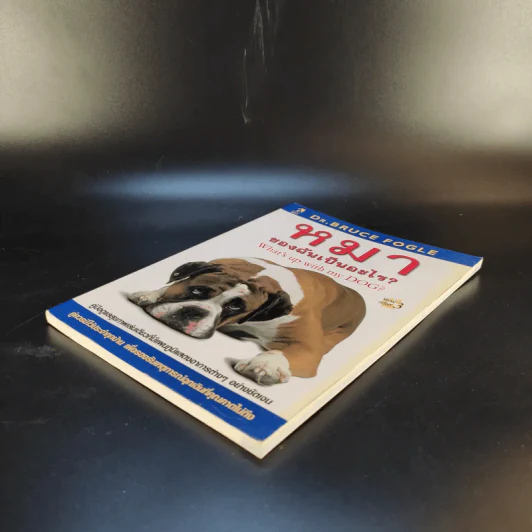 หมาของฉันเป็นอะไร What's up with my Dog? รูปที่ 7