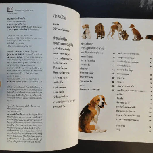 หมาของฉันเป็นอะไร What's up with my Dog? รูปที่ 9