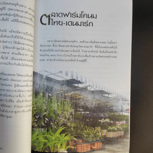คู่มือเลือกซื้อและขาย ต้นไม้สำหรับมืออาชีพ - นก วรรณพร รูปที่ 19
