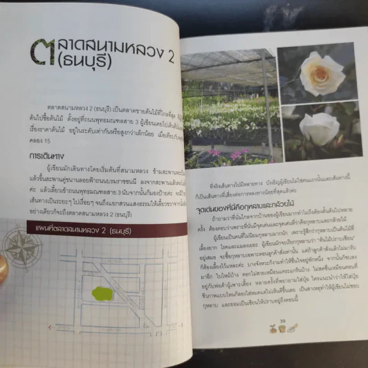 คู่มือเลือกซื้อและขาย ต้นไม้สำหรับมืออาชีพ - นก วรรณพร รูปที่ 18