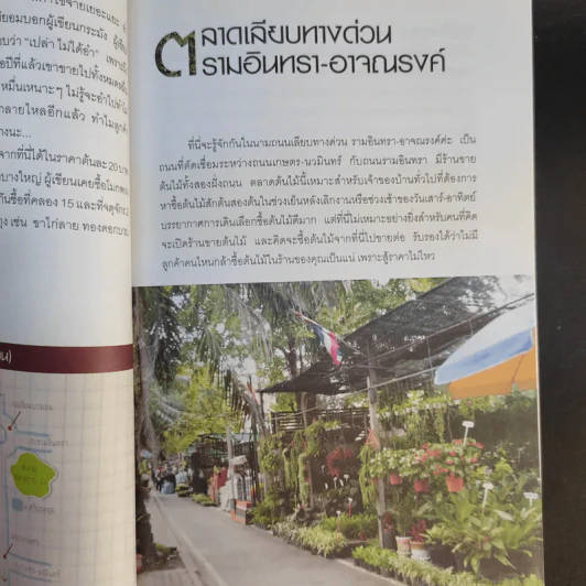 คู่มือเลือกซื้อและขาย ต้นไม้สำหรับมืออาชีพ - นก วรรณพร รูปที่ 17
