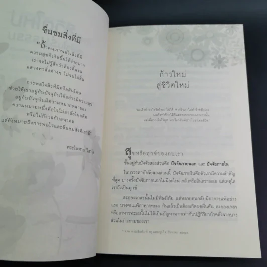 ก้าวสู่ชีวิตใหม่ สุขใจในร่มธรรม - พระไพศาล วิสาโล รูปที่ 13