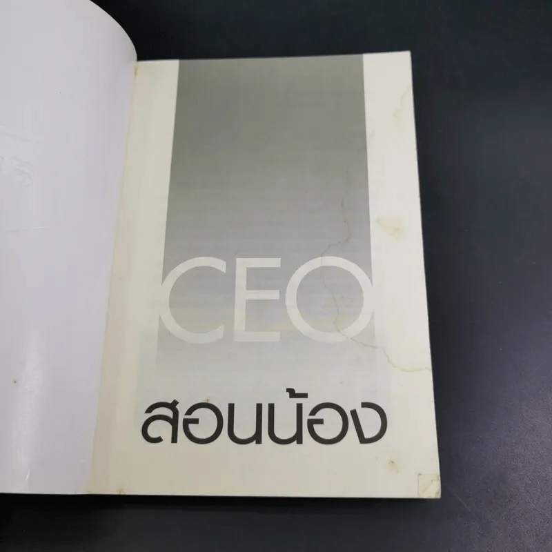 CEO สอนน้อง - ก่อศักดิ์ ไชยรัศมีศักดิ์ รูปที่ 8