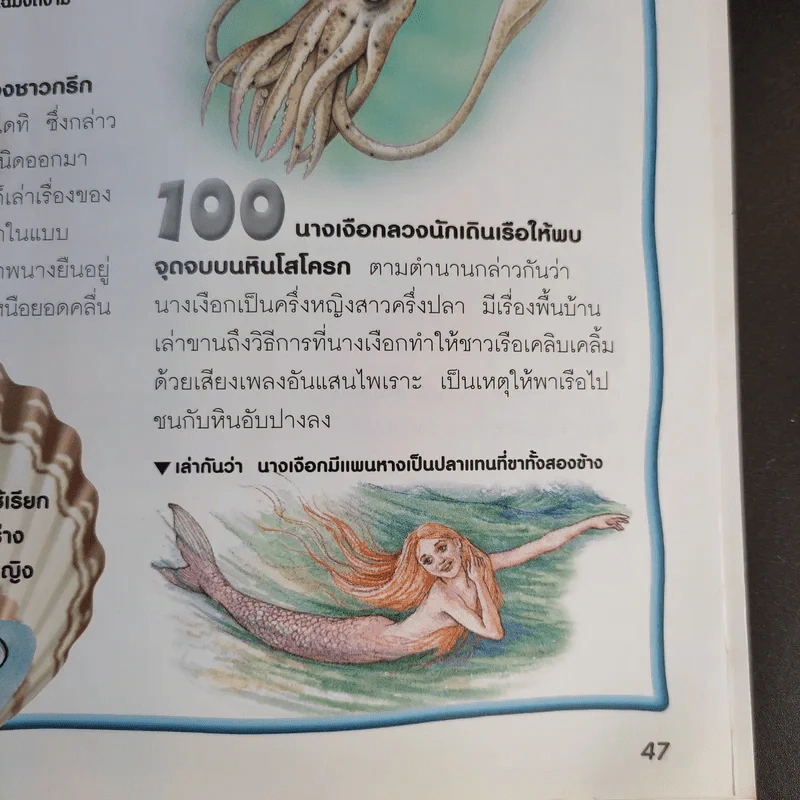 100 เรื่องน่ารู้เกี่ยวกับมหาสมุทร รูปที่ 12