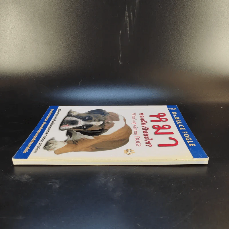 หมาของฉันเป็นอะไร What's up with my Dog? รูปที่ 5