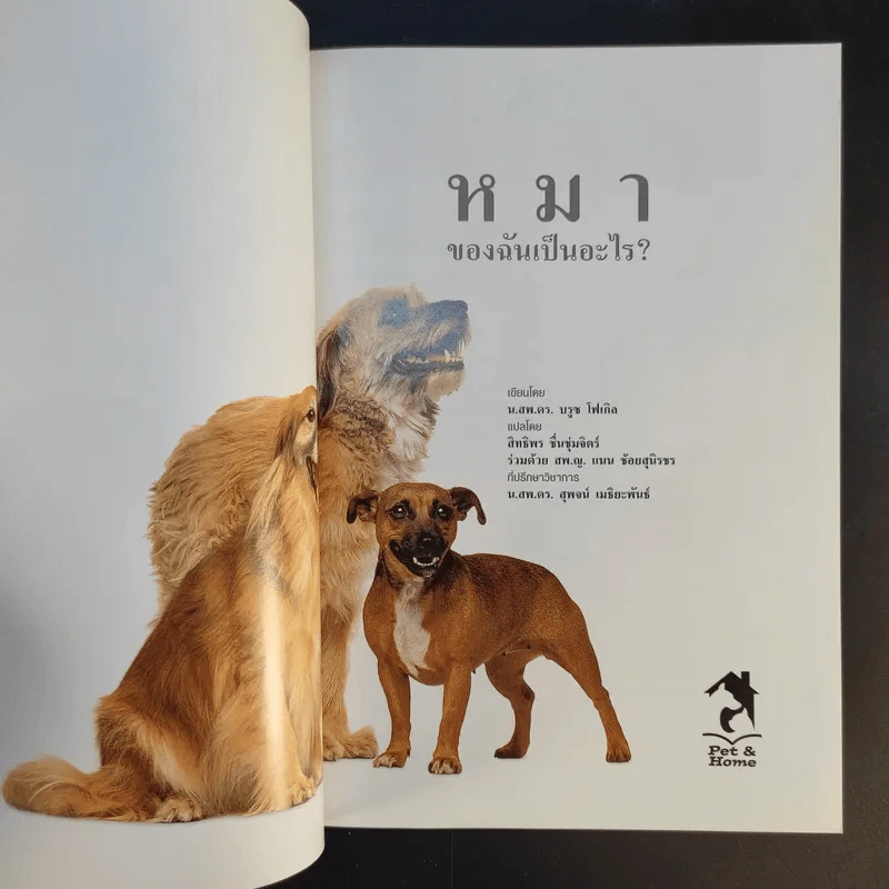 หมาของฉันเป็นอะไร What's up with my Dog? รูปที่ 8