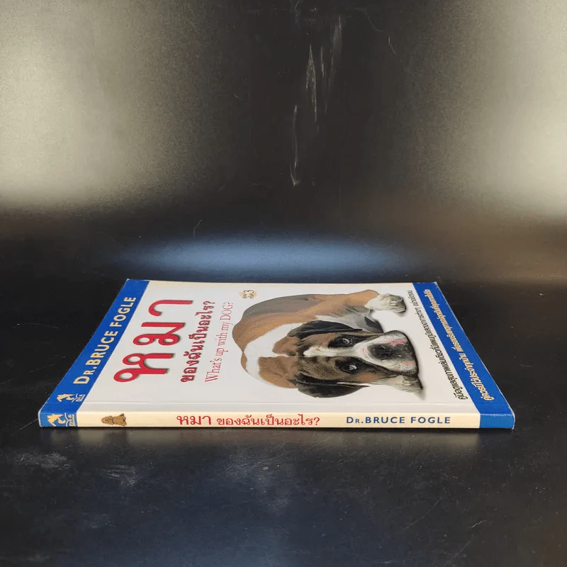 หมาของฉันเป็นอะไร What's up with my Dog? รูปที่ 3
