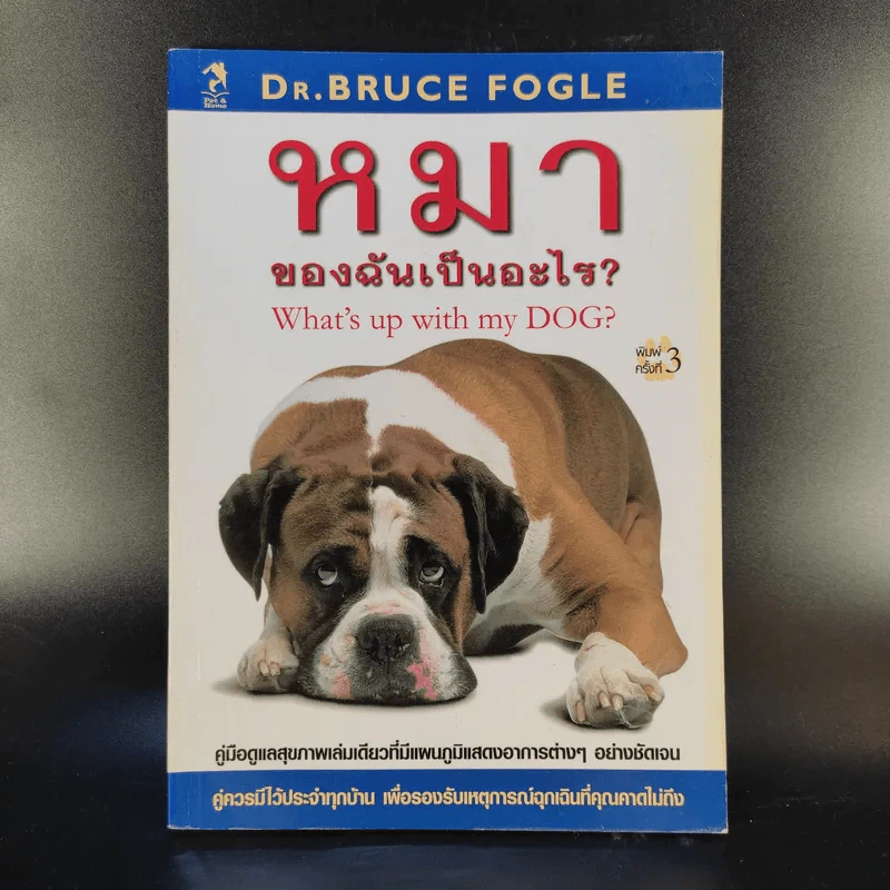 หมาของฉันเป็นอะไร What's up with my Dog? รูปที่ 1