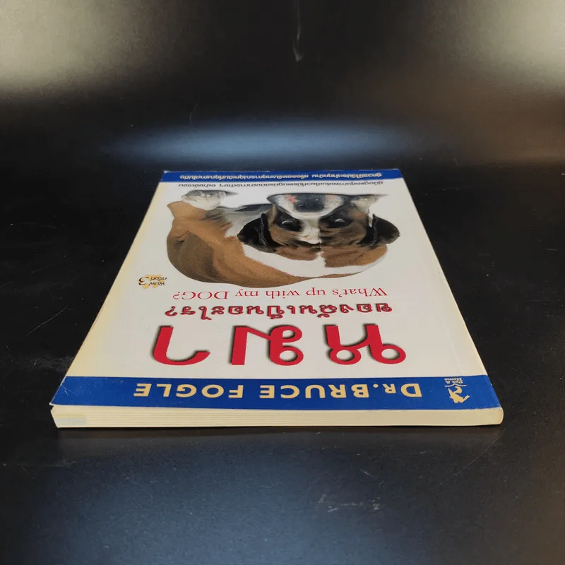 หมาของฉันเป็นอะไร What's up with my Dog? รูปที่ 6