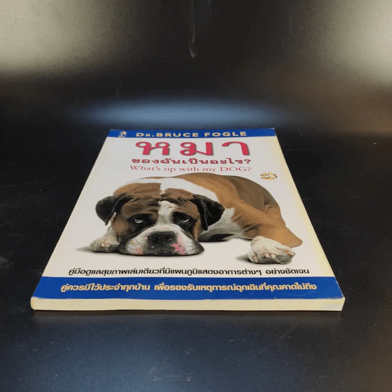 หมาของฉันเป็นอะไร What's up with my Dog? รูปที่ 4