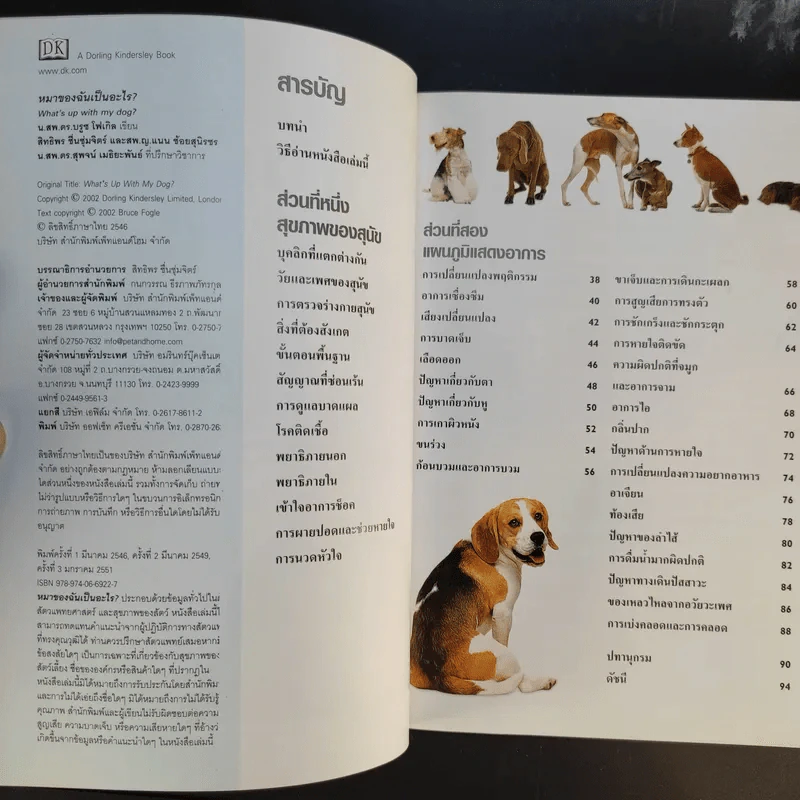 หมาของฉันเป็นอะไร What's up with my Dog? รูปที่ 9