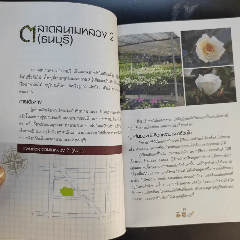 คู่มือเลือกซื้อและขาย ต้นไม้สำหรับมืออาชีพ - นก วรรณพร รูปที่ 18
