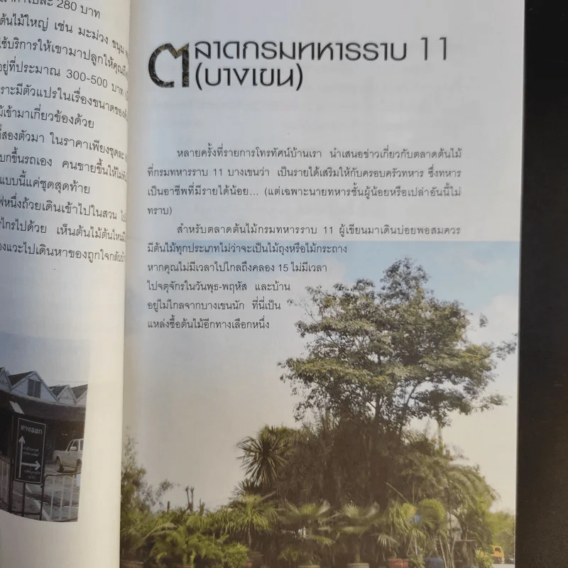 คู่มือเลือกซื้อและขาย ต้นไม้สำหรับมืออาชีพ - นก วรรณพร รูปที่ 16