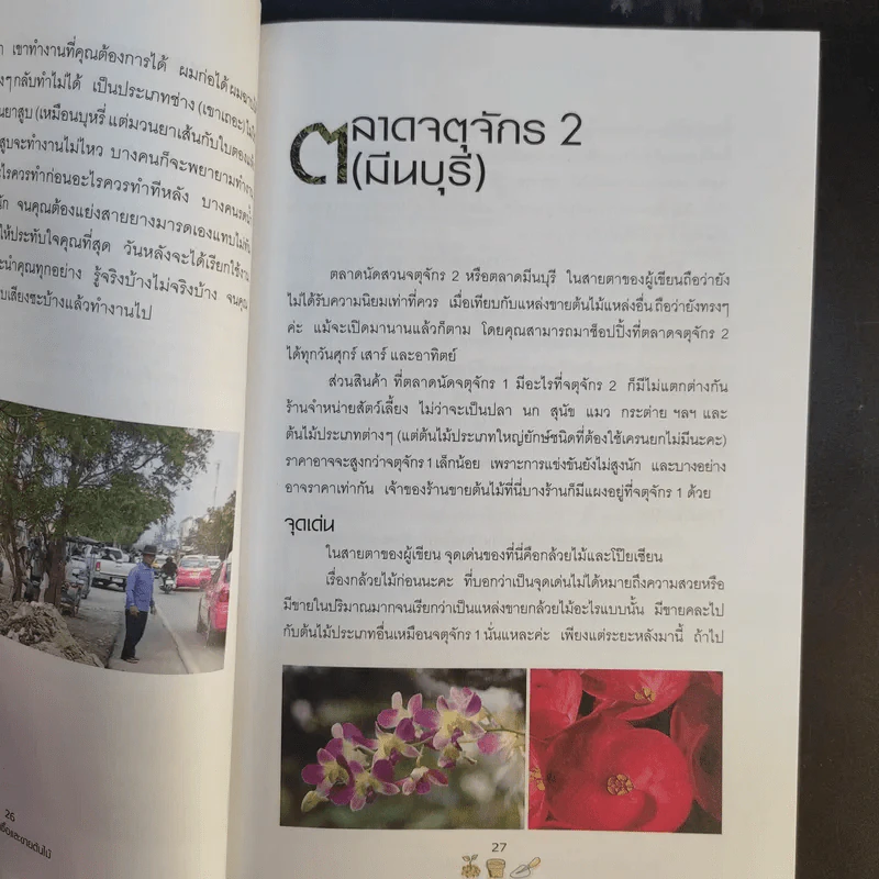 คู่มือเลือกซื้อและขาย ต้นไม้สำหรับมืออาชีพ - นก วรรณพร รูปที่ 15
