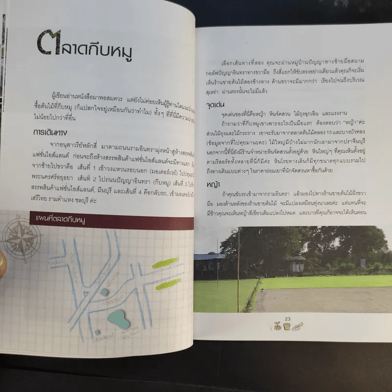 คู่มือเลือกซื้อและขาย ต้นไม้สำหรับมืออาชีพ - นก วรรณพร รูปที่ 14
