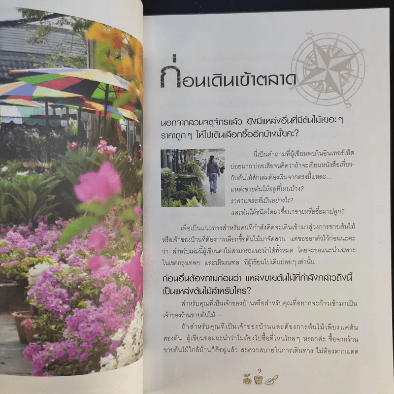 คู่มือเลือกซื้อและขาย ต้นไม้สำหรับมืออาชีพ - นก วรรณพร รูปที่ 12