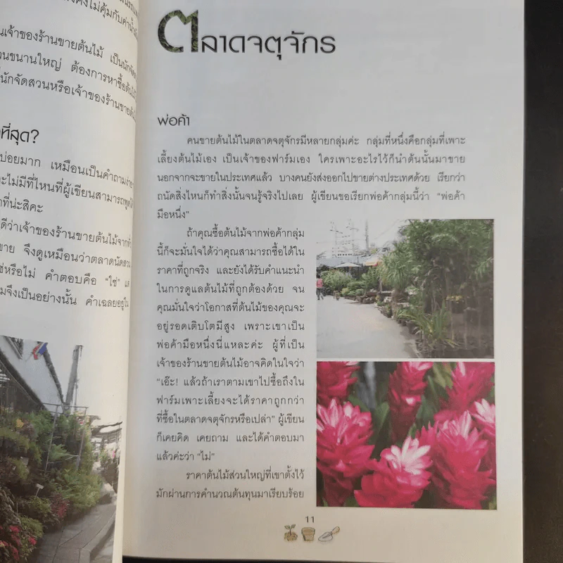 คู่มือเลือกซื้อและขาย ต้นไม้สำหรับมืออาชีพ - นก วรรณพร รูปที่ 13